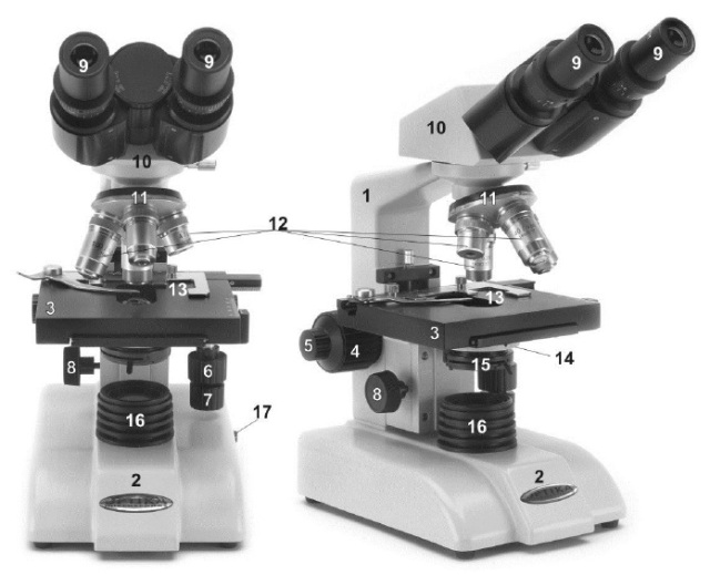 dam needle color Microscopul – Cu fizica-nainte